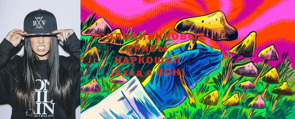 СК Верея