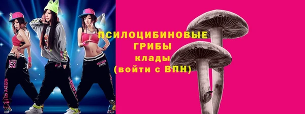 ешки Верхний Тагил