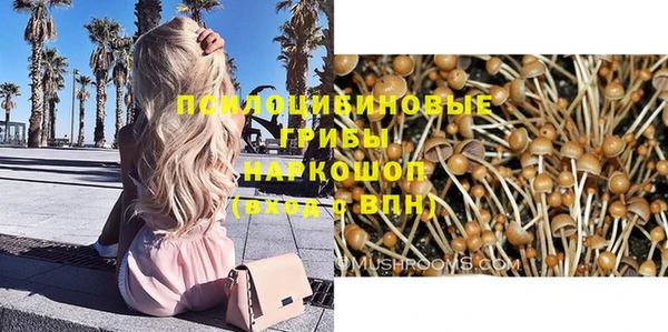 СК Верея